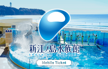 Enoshima Aquarium Admission Ticket