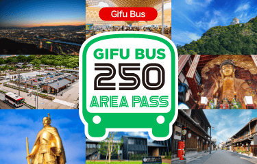 Gifu Bus 250 AREA PASS
