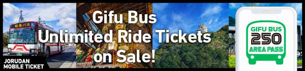 Gifu Bus 250 AREA PASS
