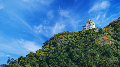 Gifu Castle