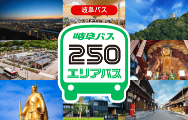 岐阜バス 250エリアパス