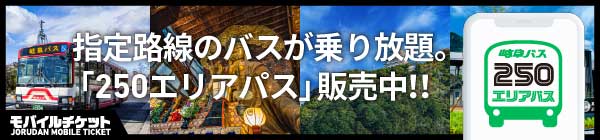 岐阜バス 250エリアパス