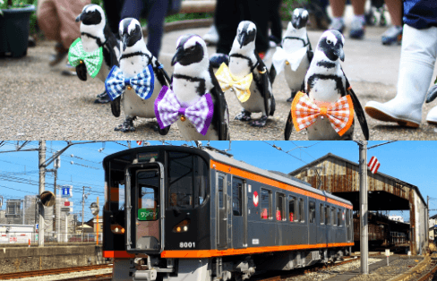 Ichibata Electric Railway Vogel Park & Train 1-Day Pass