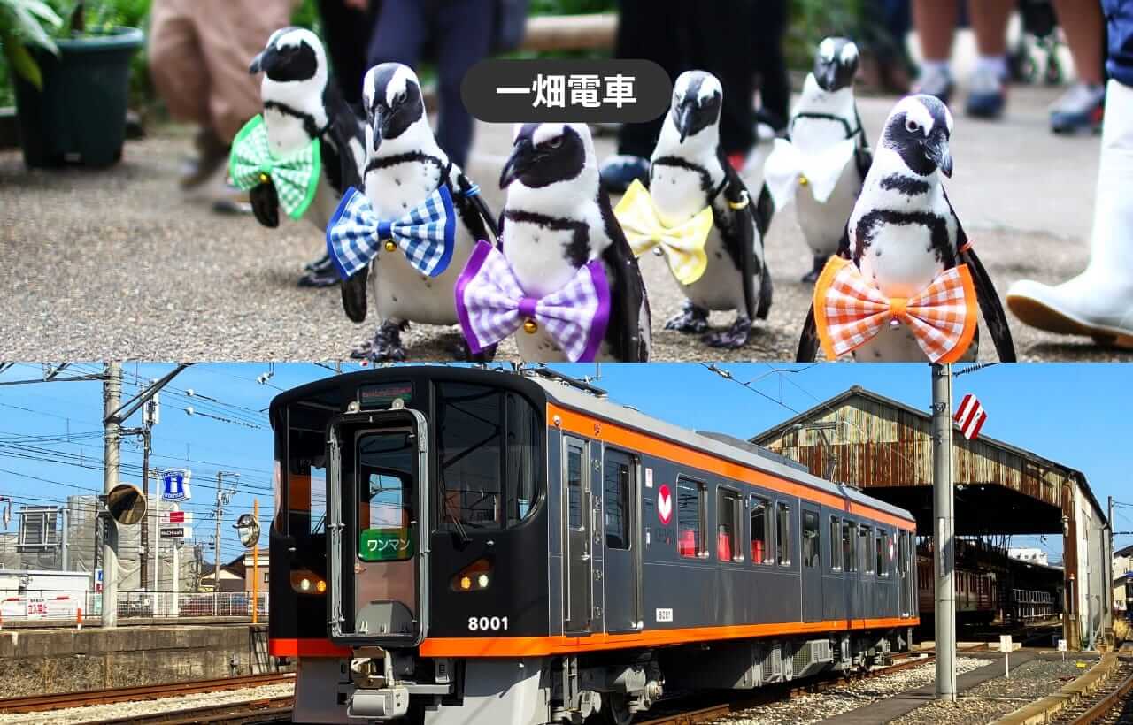 一畑電車 フォーゲルパーク＆電車1日乗車券 | ジョルダンモバイルチケット