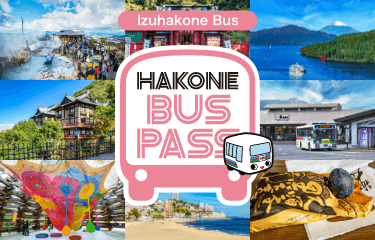 Izuhakone Bus Hakone Bus Pass / Hakone Tabidasuke Pass
