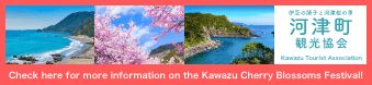 Kawazu Tourist Association｜Check here for more information on the Kawazu Cherry Blossoms Festival!
