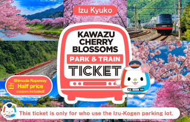 Izu Kyuko Kawazu Cherry Blossoms Park & Train Ticket