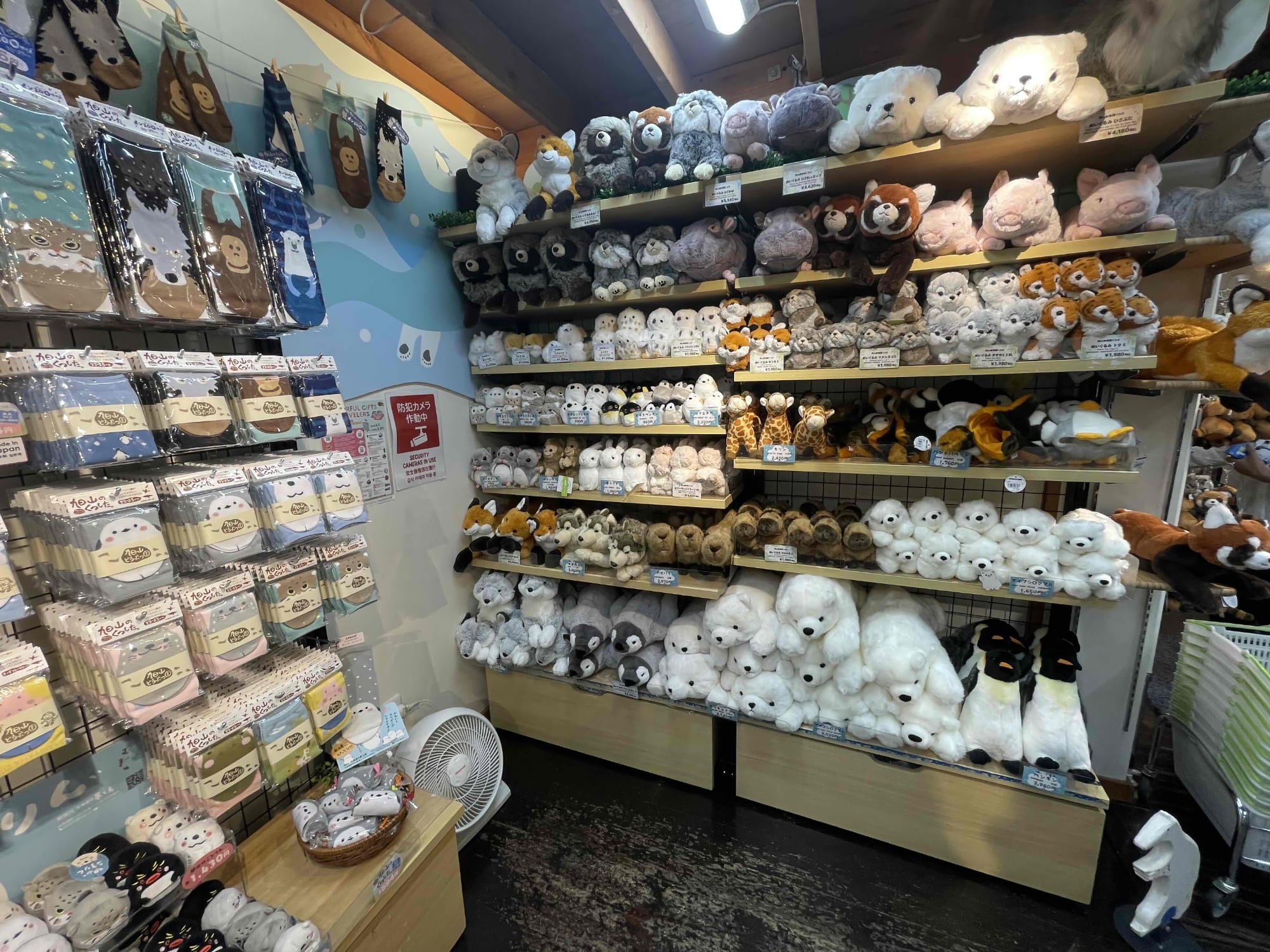 旭山動物園くらぶ こもれびの丘SHOP|会計金額より3%割引