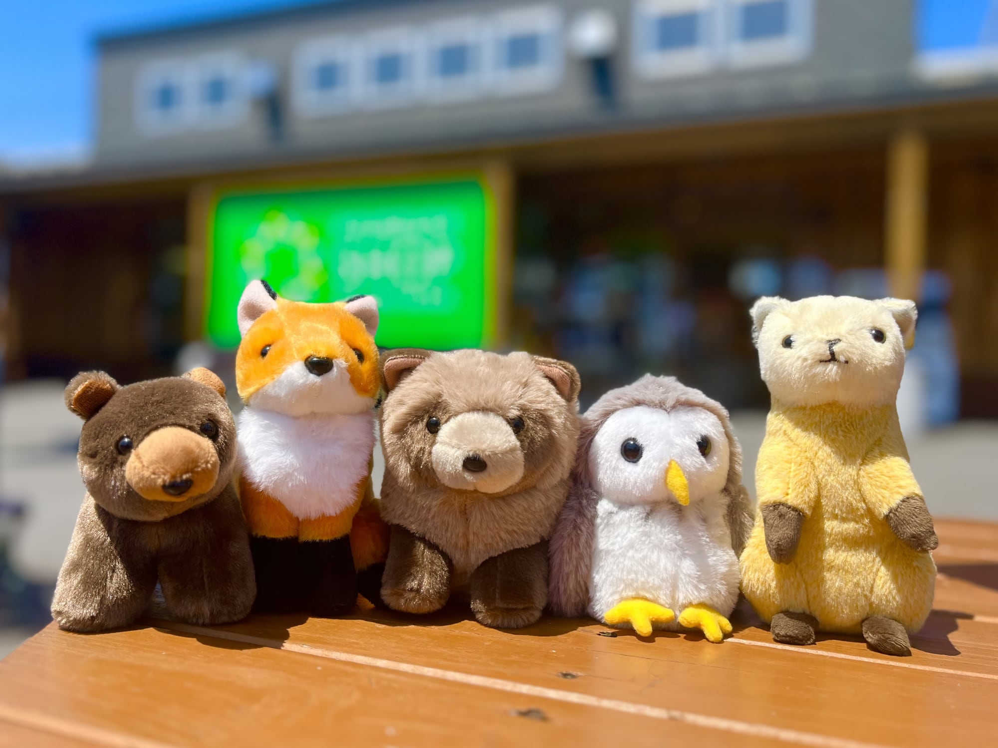 Museum Shop ASAHIYAMA|会計金額より3%割引