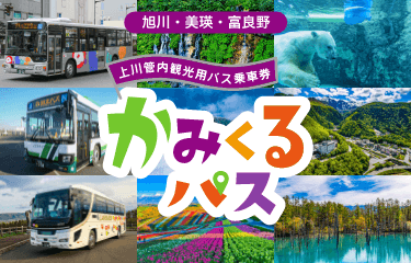 上川管内観光用バス乗車券 かみくるパス