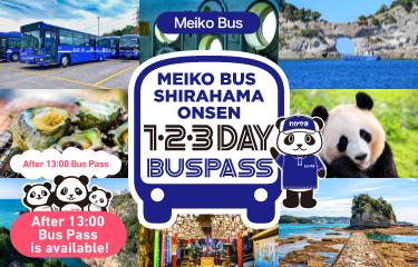 Meiko Bus Shirahama Onsen Bus Pass