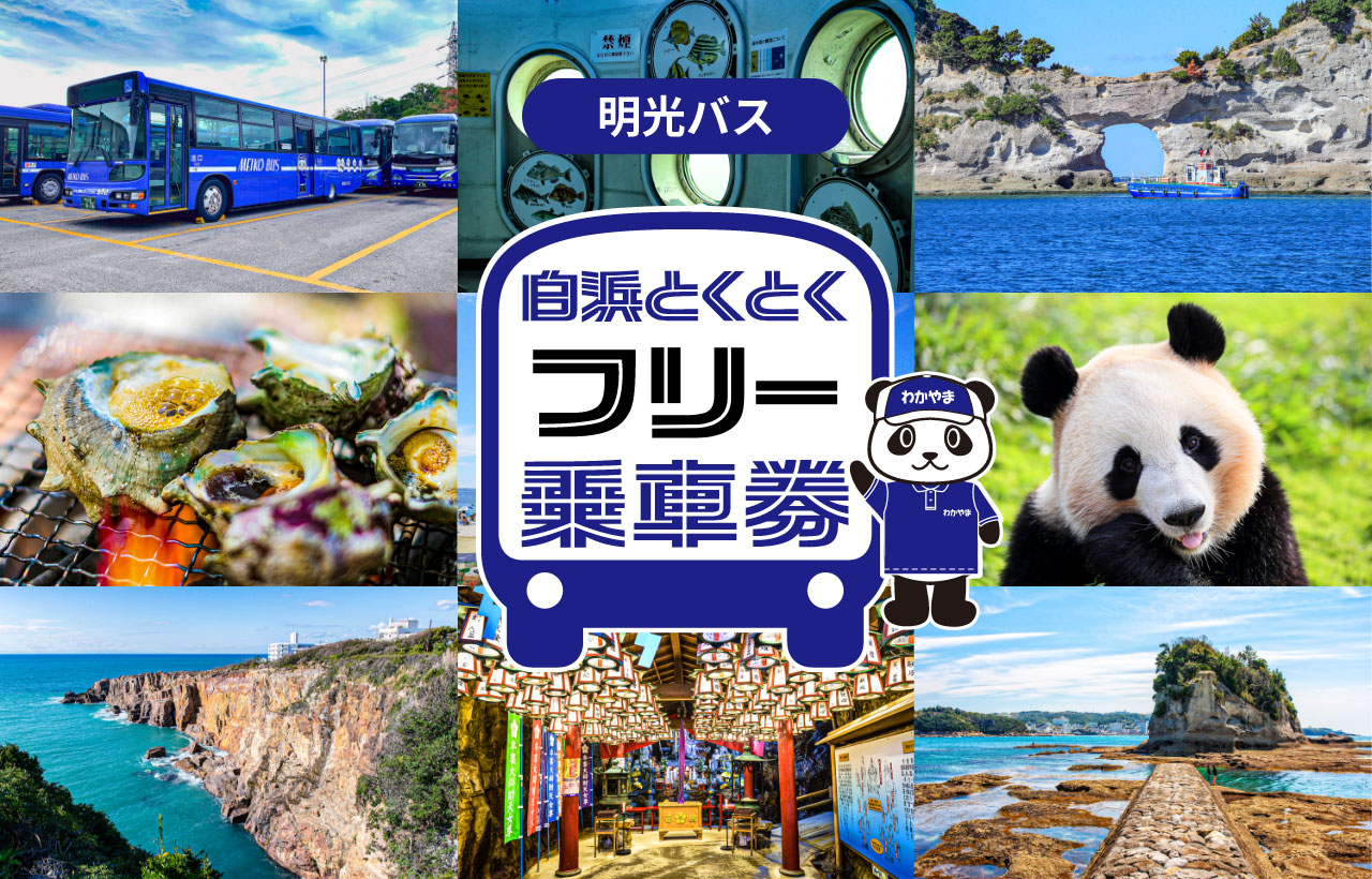 白浜とくとくフリー乗車券の写真
