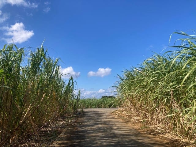 島の風景（池間／来間）