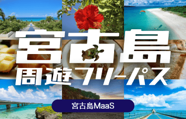 宮古島周遊フリーパス