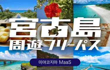 미야코지마 순환 프리패스