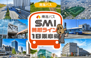 南海バス SMI美原ライン 1日乗車券