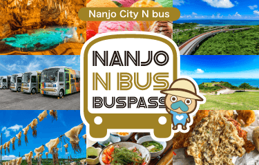 Okinawa / Nanjo City N bus 1DAY PASS / N bus Regular Fare Ticket
