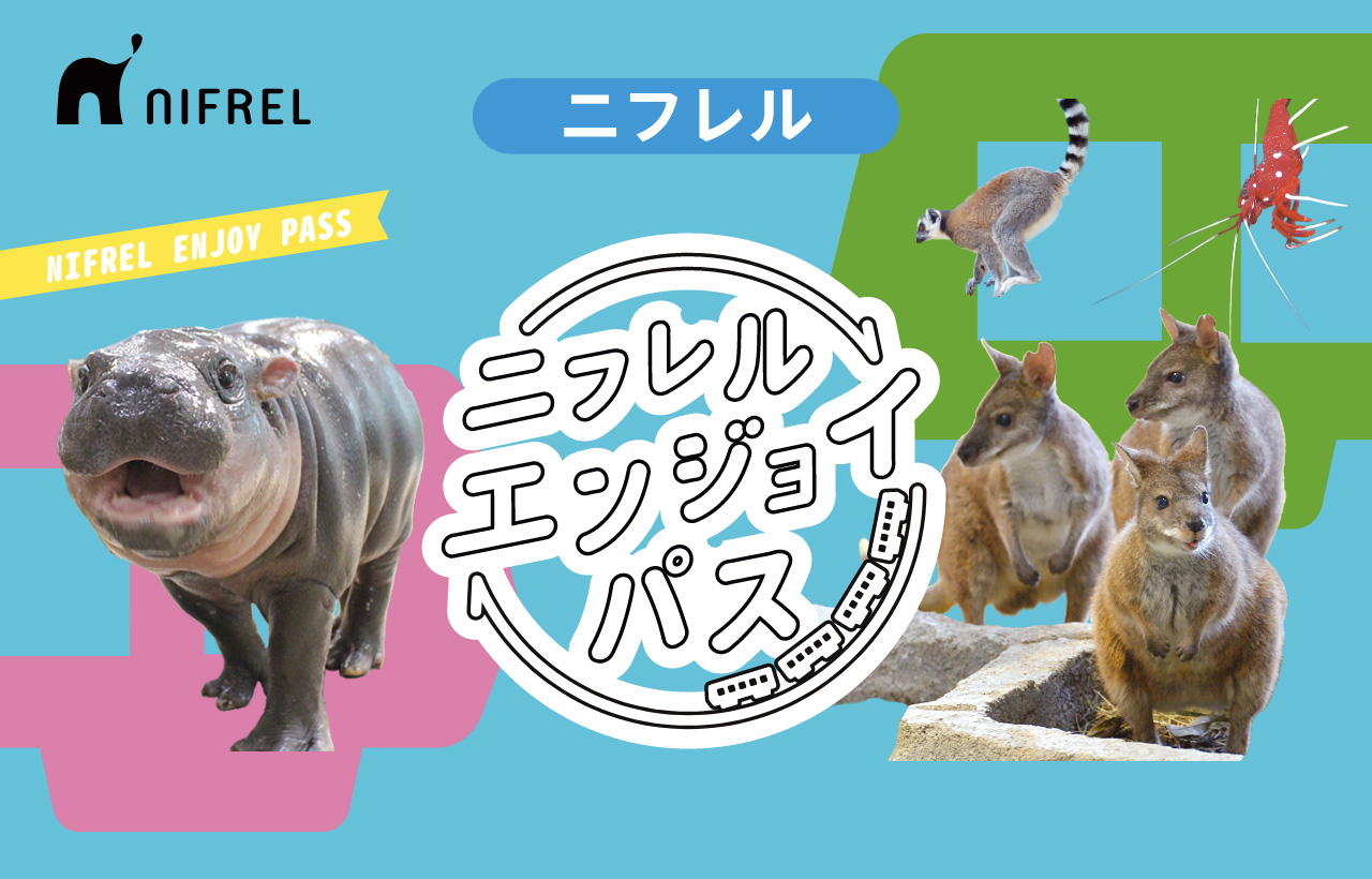 ニフレルエンジョイパス | ジョルダンモバイルチケット