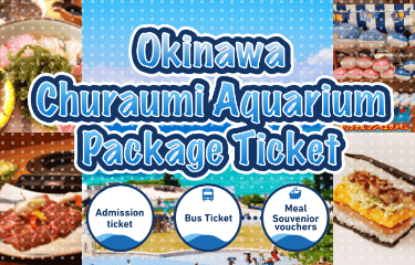 Okinawa Churaumi Aquarium Packege Ticket