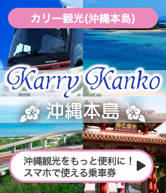 カリー観光沖縄本島