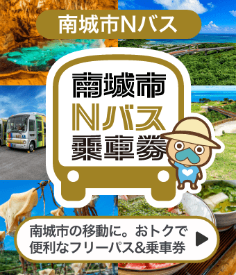 南城市Nバス乗車券