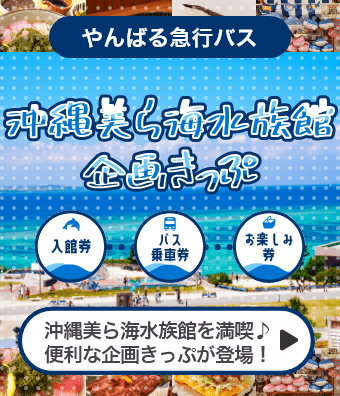 沖縄美ら海水族館企画きっぷ