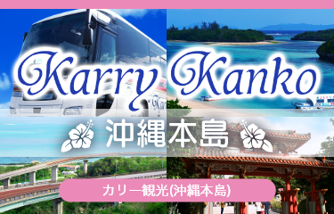 カリー観光沖縄本島