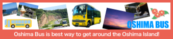 Oshima Bus is best way to get around the Oshima Island!