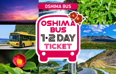 Oshima Bus 1 day / 2 day ticket