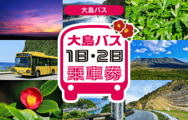 大島バス「1日・2日乗車券」