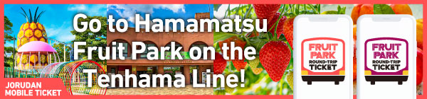 Tenryu Hamanako Railroad Round-Trip Ticket with Fruit Park Admission Ticket