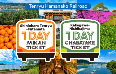 Tenryu Hamanako Railroad The 