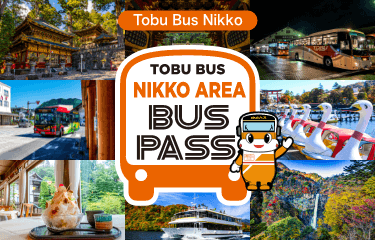 Tobu Bus Nikko Tobu Bus World Heritage Sightseeing Pass