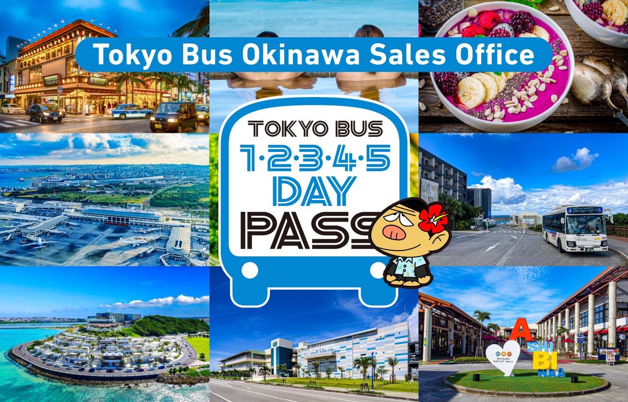 tokyo to okinawa tour package