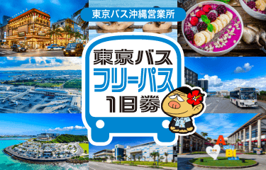 東京バス（沖縄）フリーパス1日券