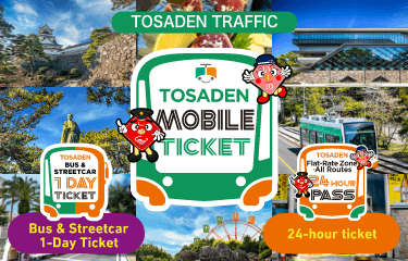 TOSADEN TRAFFIC Mobile Ticket