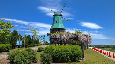 霞ヶ浦総合公園