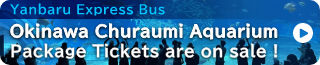 Click here for Okinawa Churaumi Aquarium package tickets!